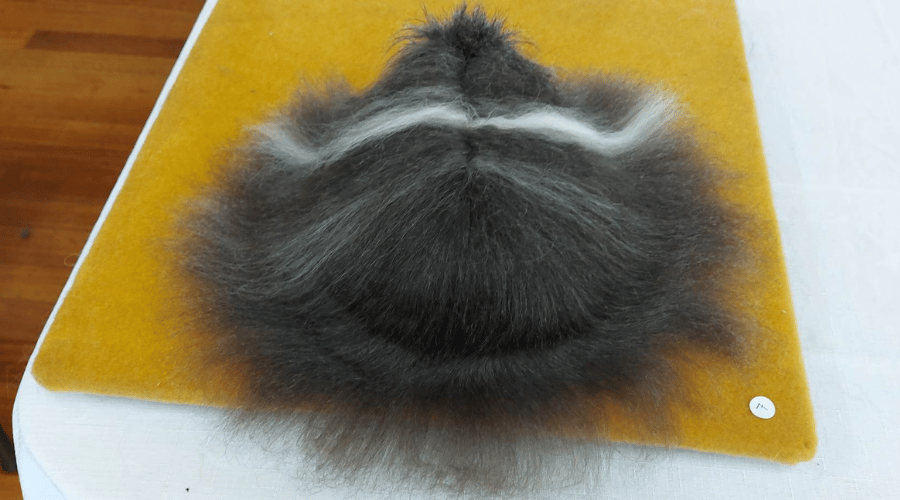 Untitled design - 2023-03-08T155034.699