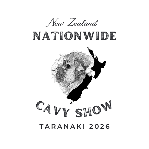 Nationwide Logo (11)