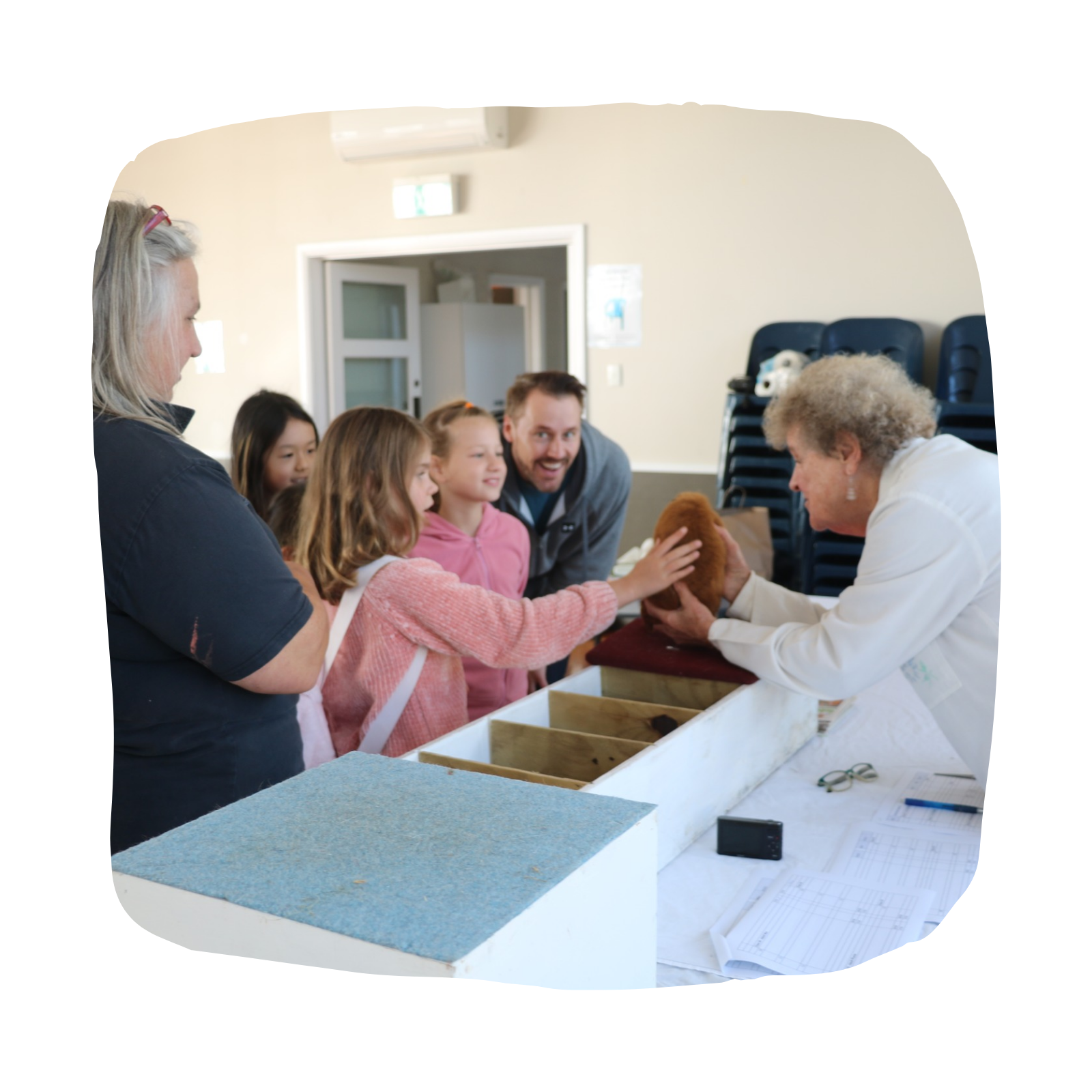 The Hamilton & Waikato Area Guinea Pig Club is an independent club supporting guinea pig exhibitors and enthusiasts in the Waikato region. The club provides opportunities for members and exhibitor (4)-1