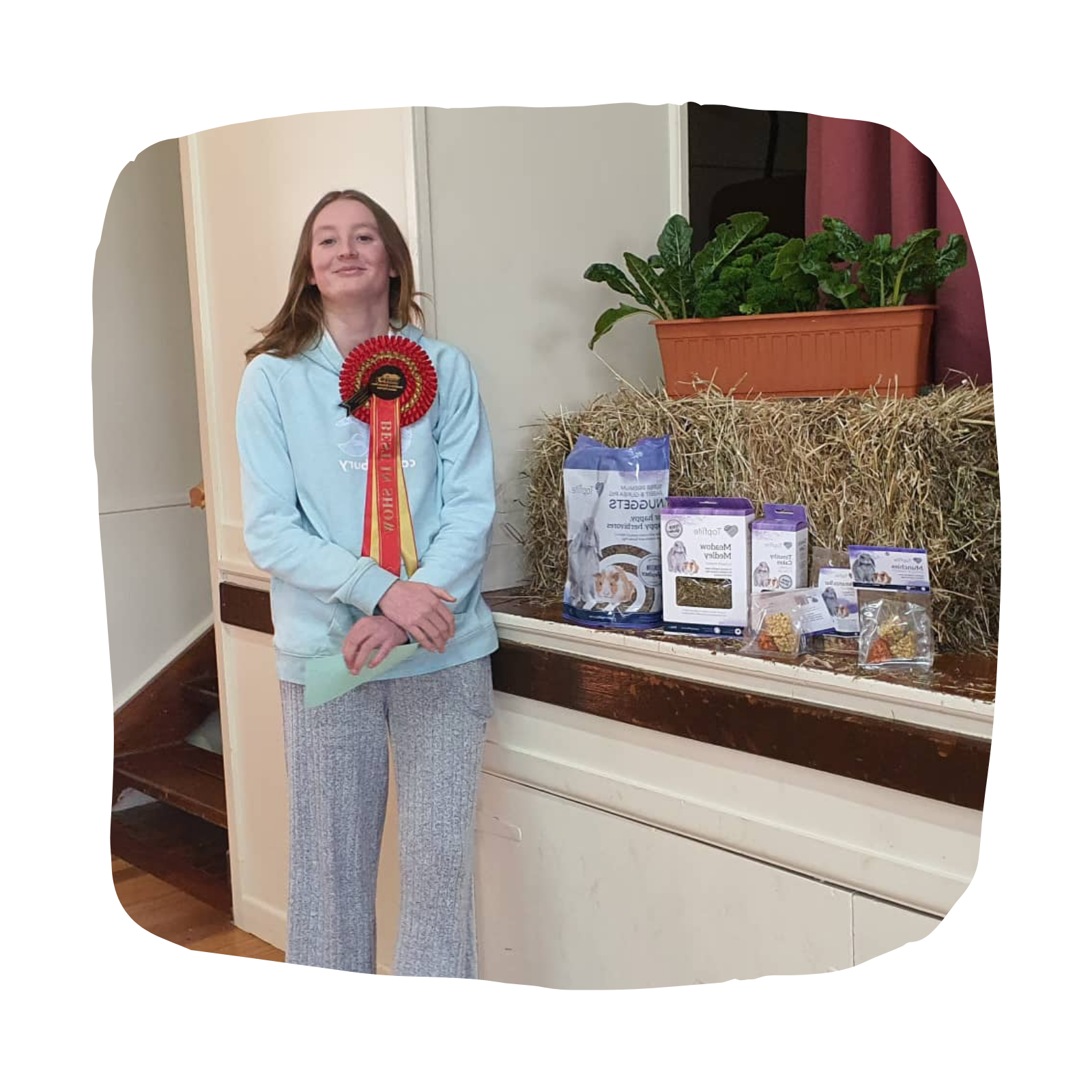 The Hamilton & Waikato Area Guinea Pig Club is an independent club supporting guinea pig exhibitors and enthusiasts in the Waikato region. The club provides opportunities for members and exhibitor (4)