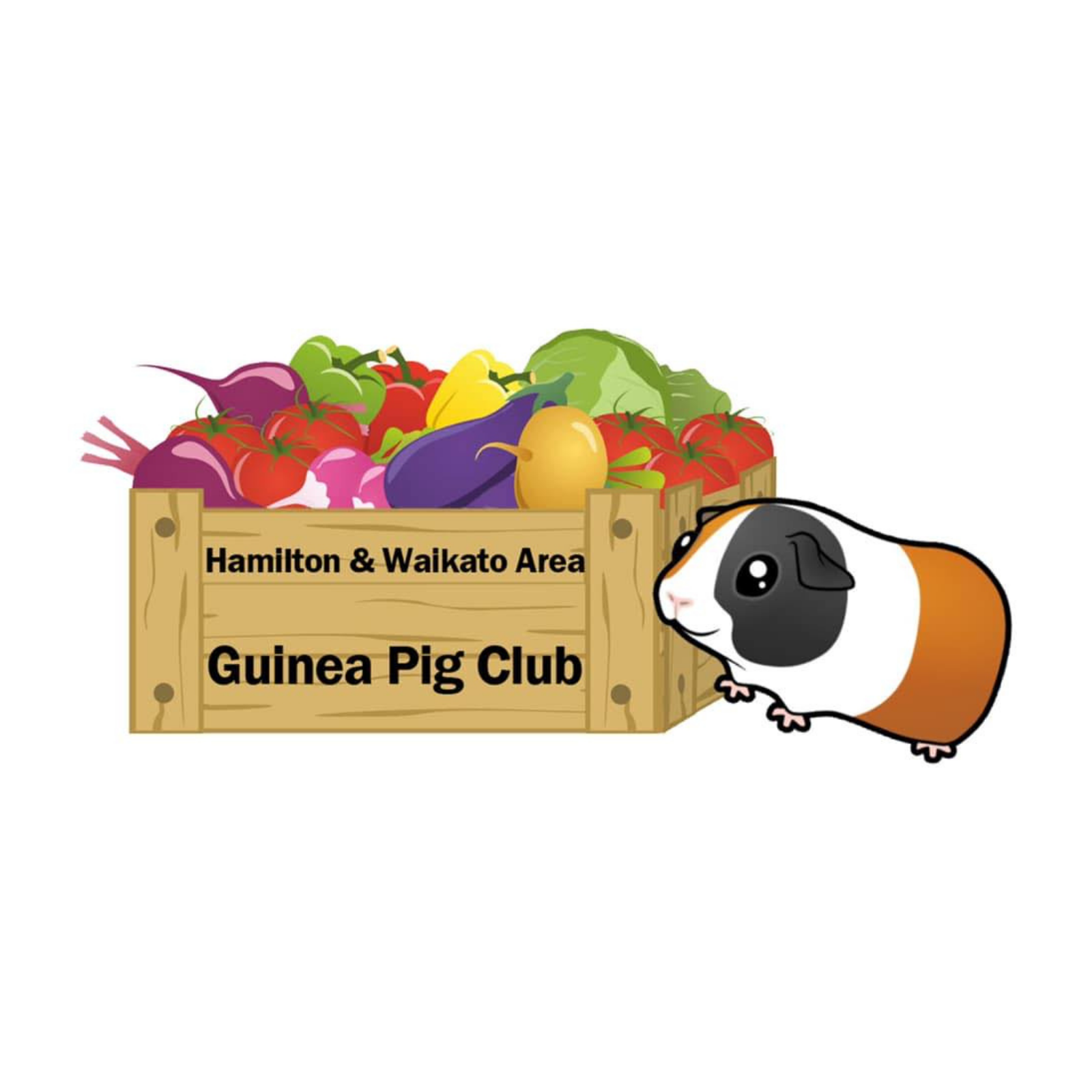 The Hamilton & Waikato Area Guinea Pig Club is an independent club supporting guinea pig exhibitors and enthusiasts in the Waikato region. The club provides opportunities for members and exhibitor