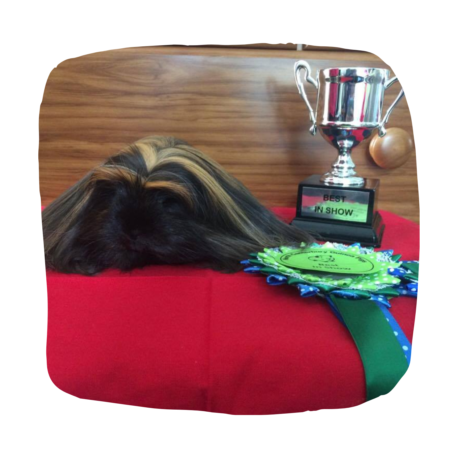 Untitled design (87)