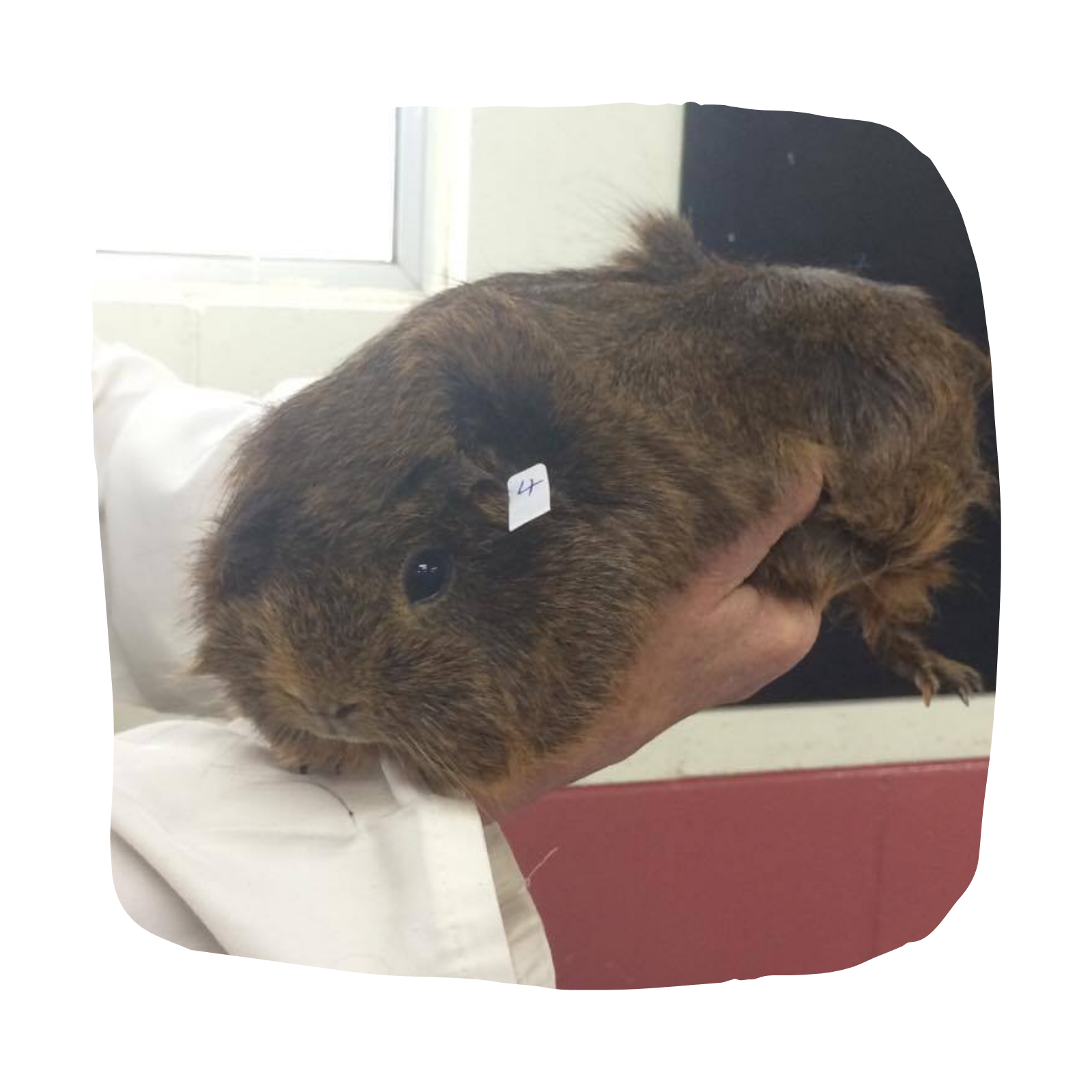 Untitled design (89)