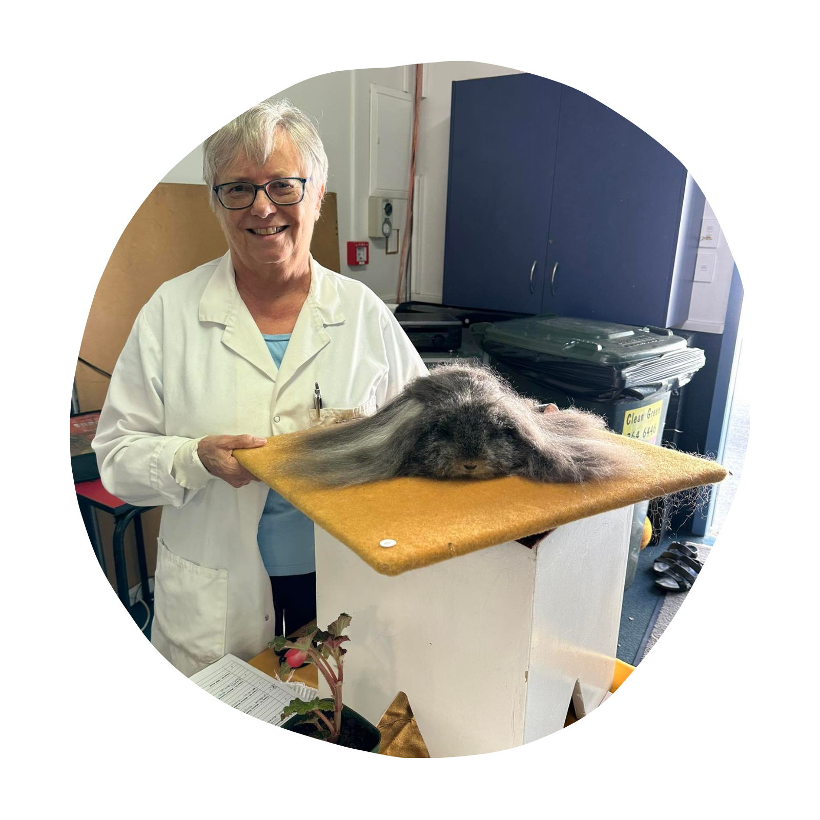 Untitled design (90)