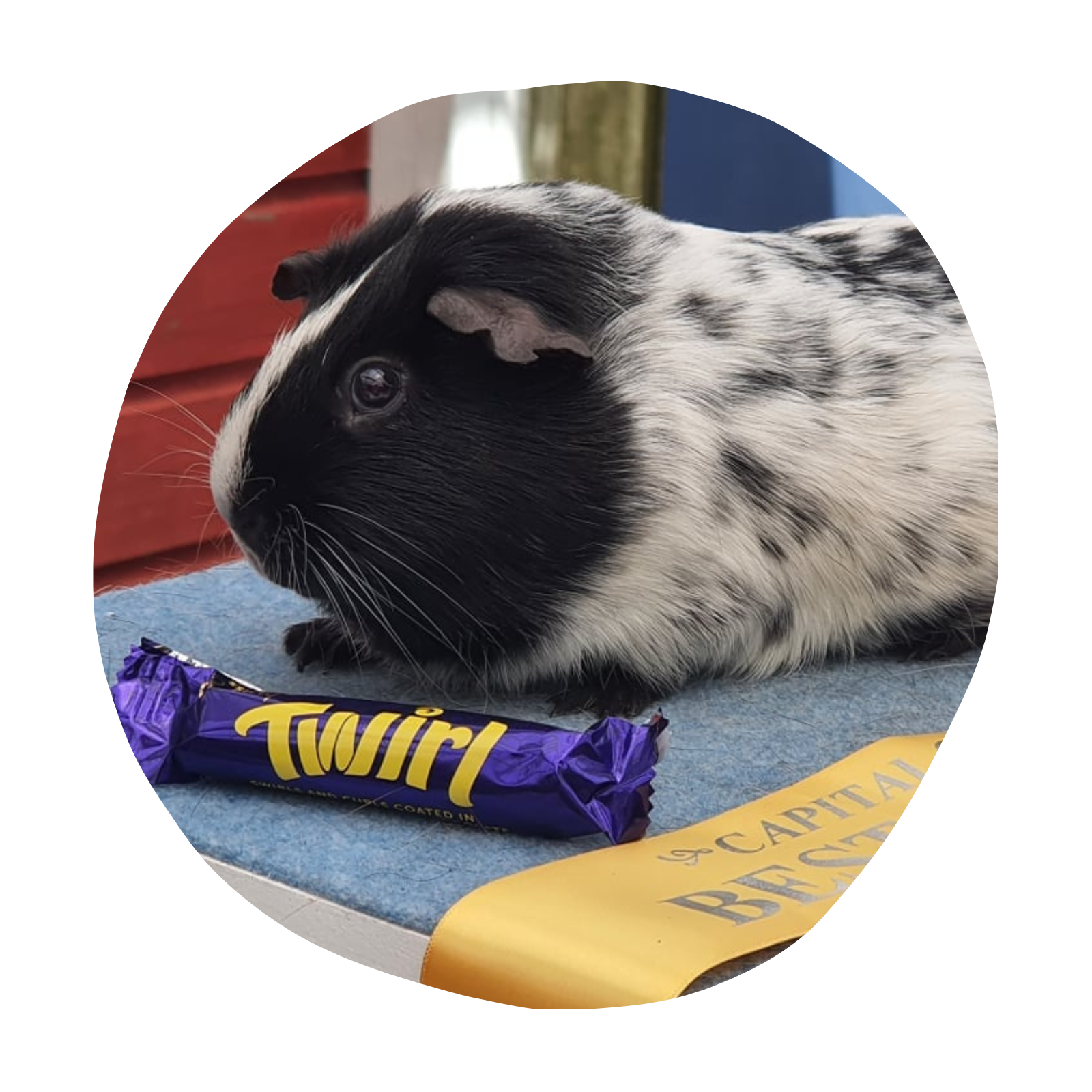 Untitled design (91)