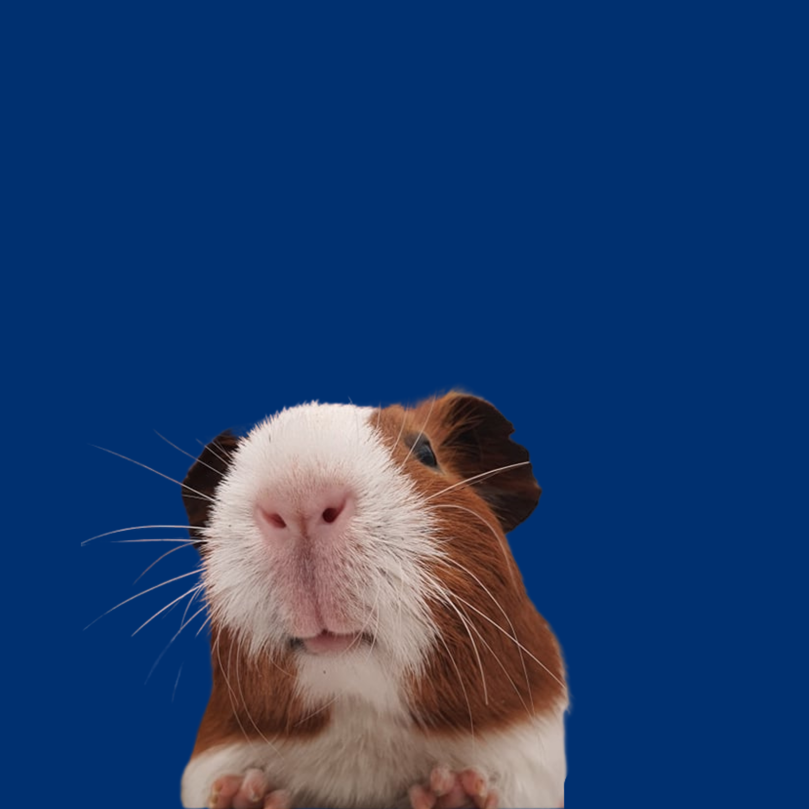 Untitled design - 2023-02-27T142603.670