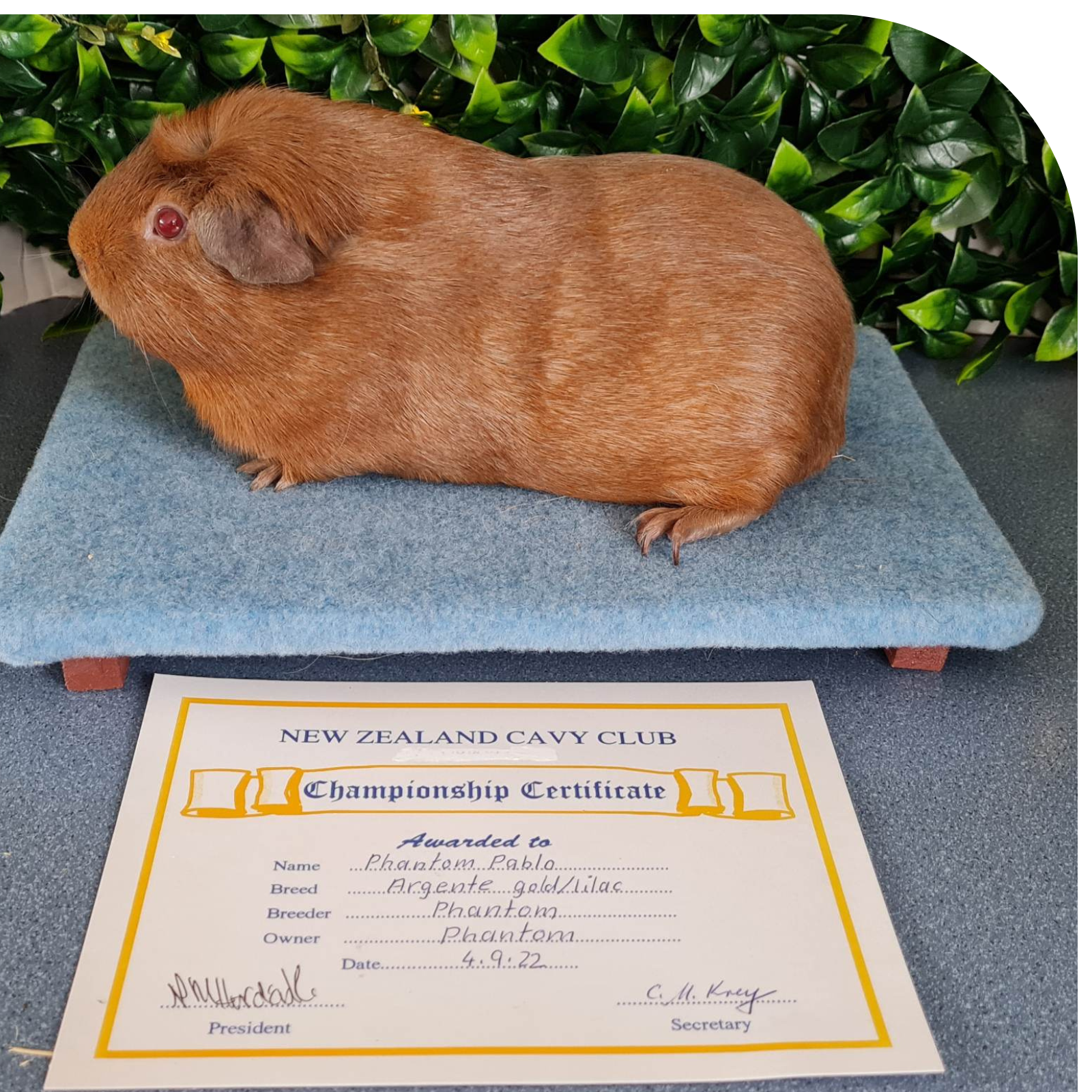 Untitled design - 2023-02-27T150443.704