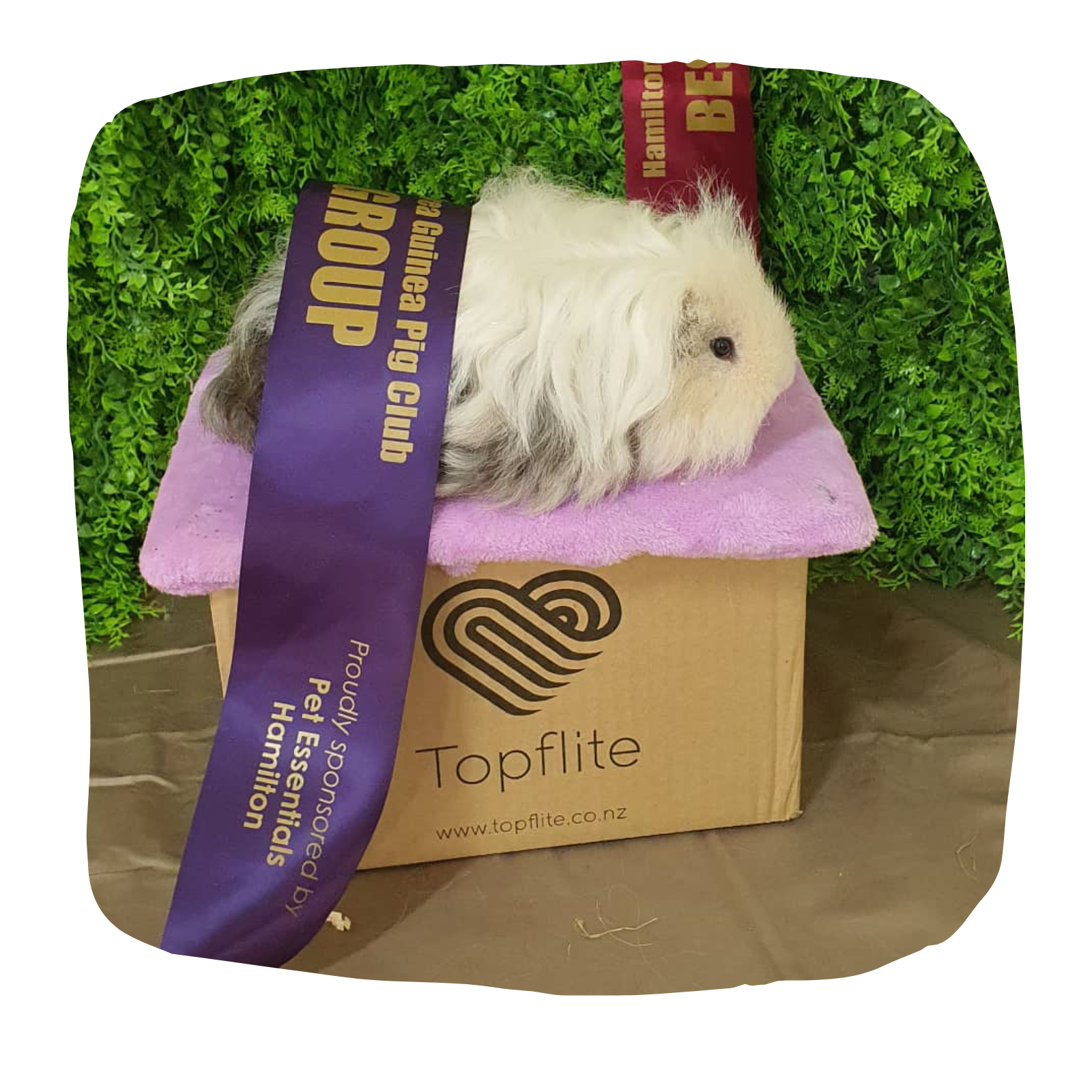 Untitled design - 2023-04-17T145538.623