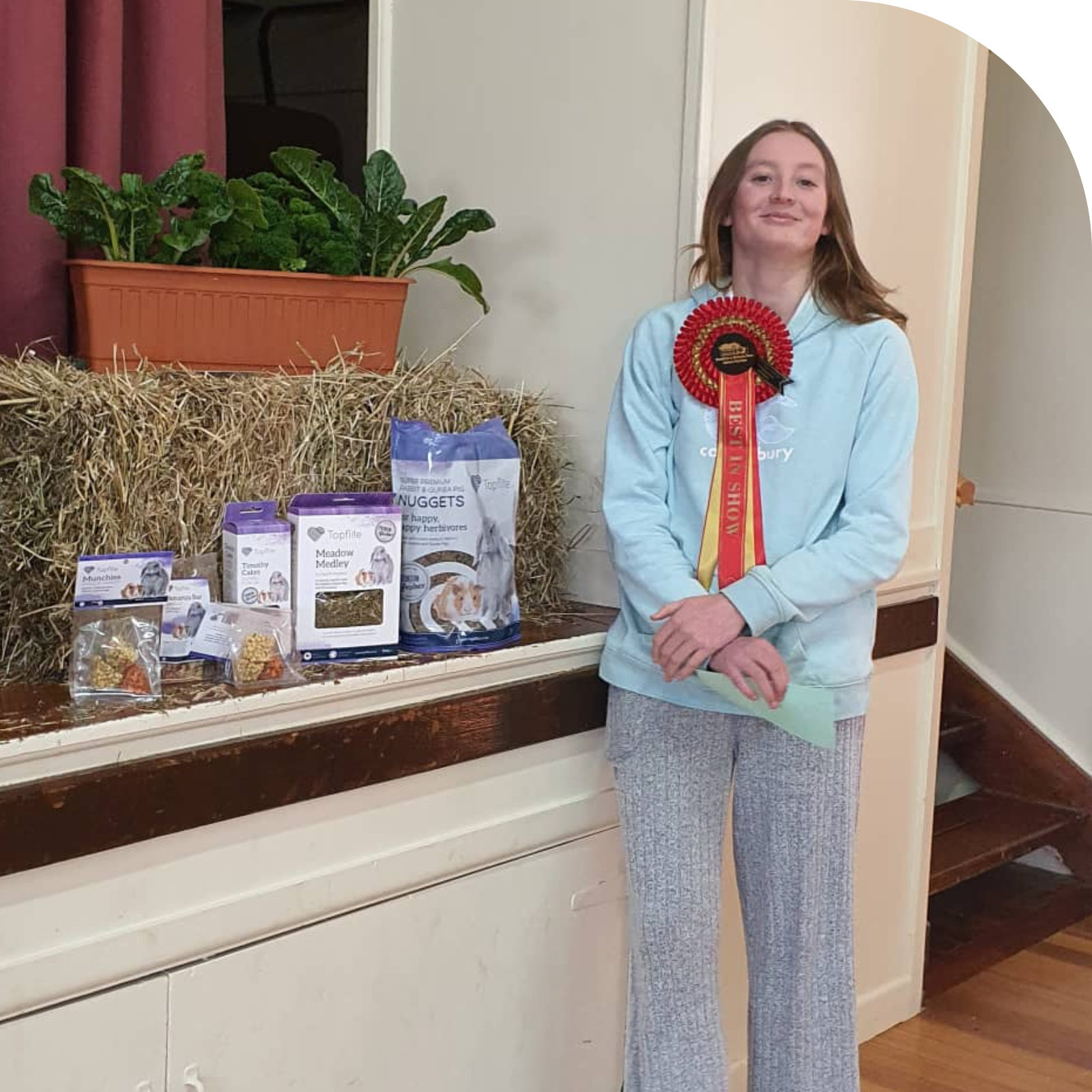 Untitled design - 2023-04-17T150514.675