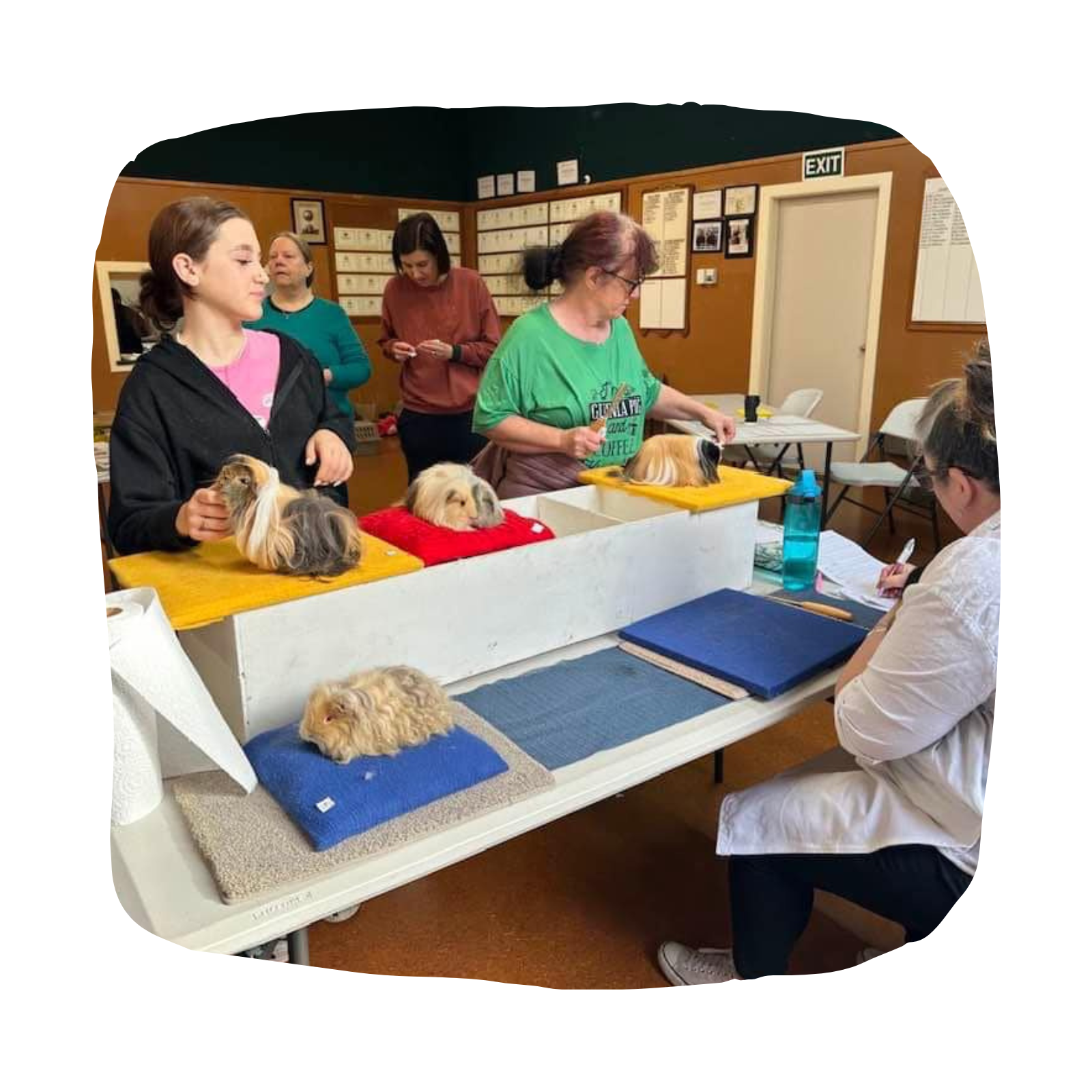 Untitled design - 2026-03-09T143059.045