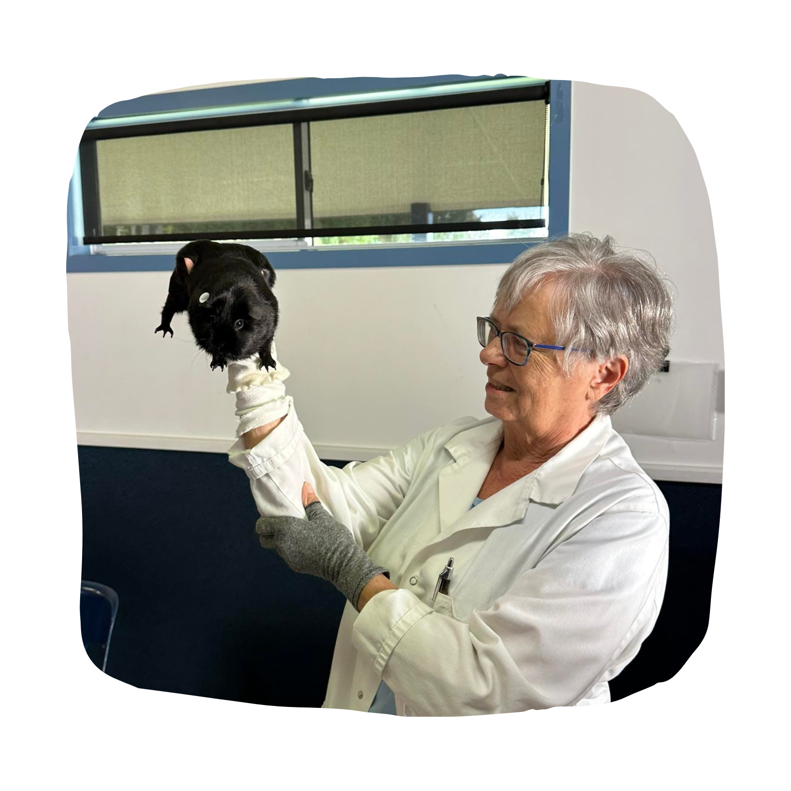 Untitled design - 2026-03-09T163658.849