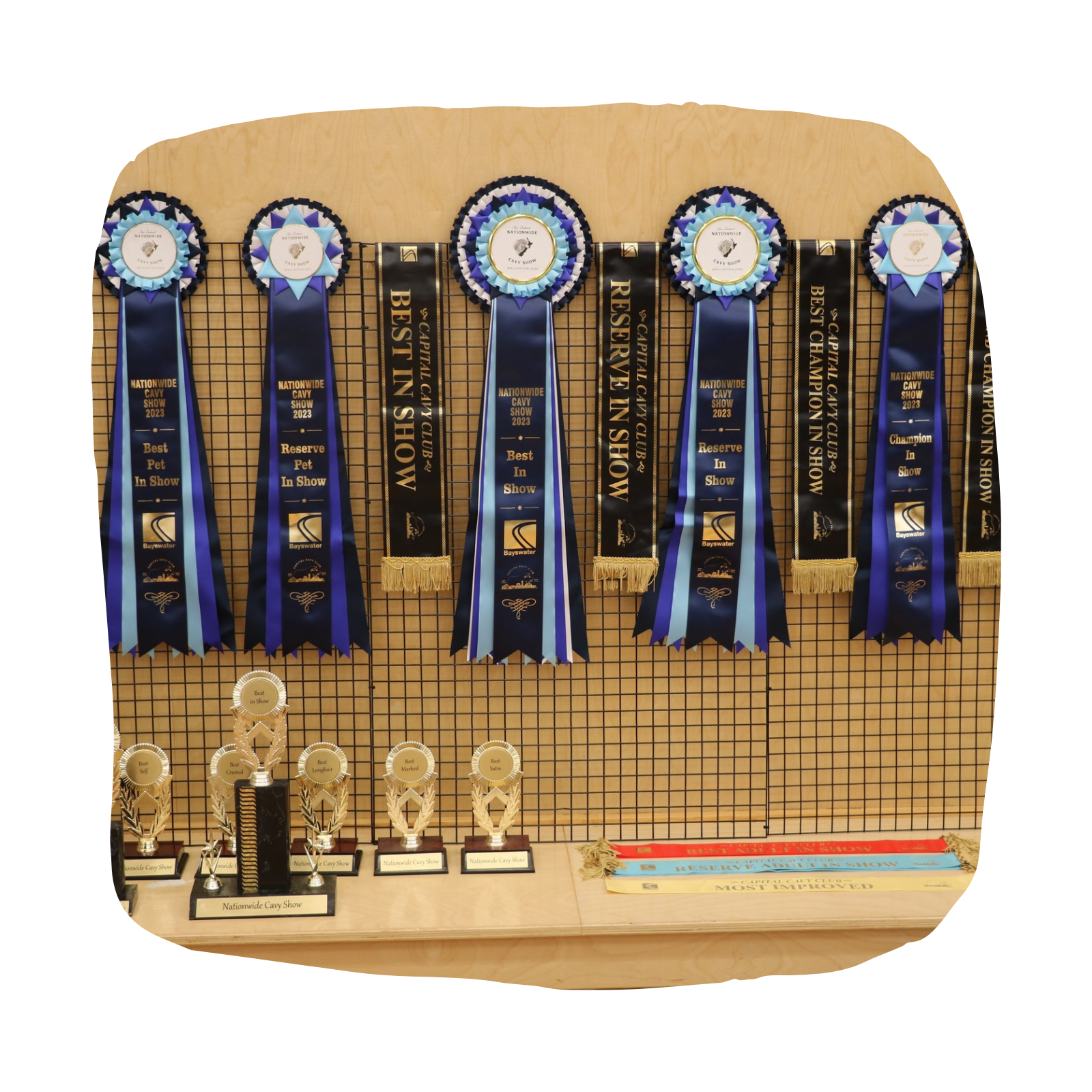 Untitled design - 2026-03-25T163007.942