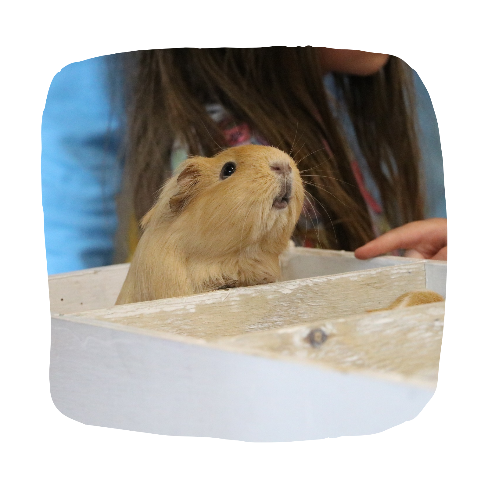 Untitled design - 2026-03-26T131849.415