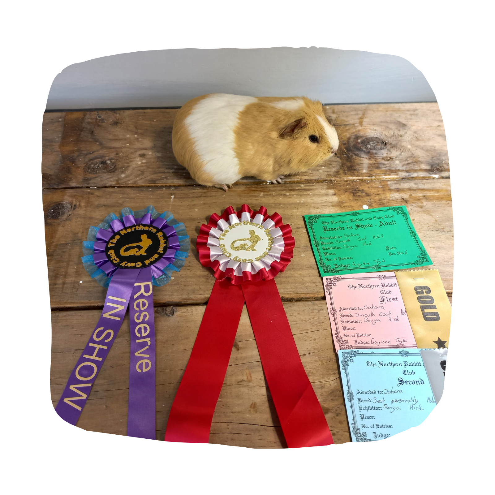 Untitled design - 2026-03-26T132146.679