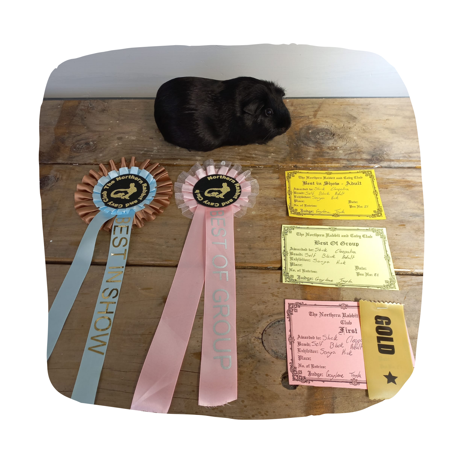 Untitled design - 2026-03-26T132149.872